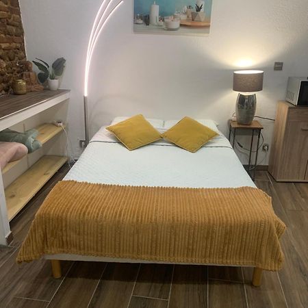 Studio 25M2 En Plein Coeur De Перпинян Екстериор снимка