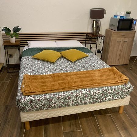 Studio 25M2 En Plein Coeur De Перпинян Екстериор снимка