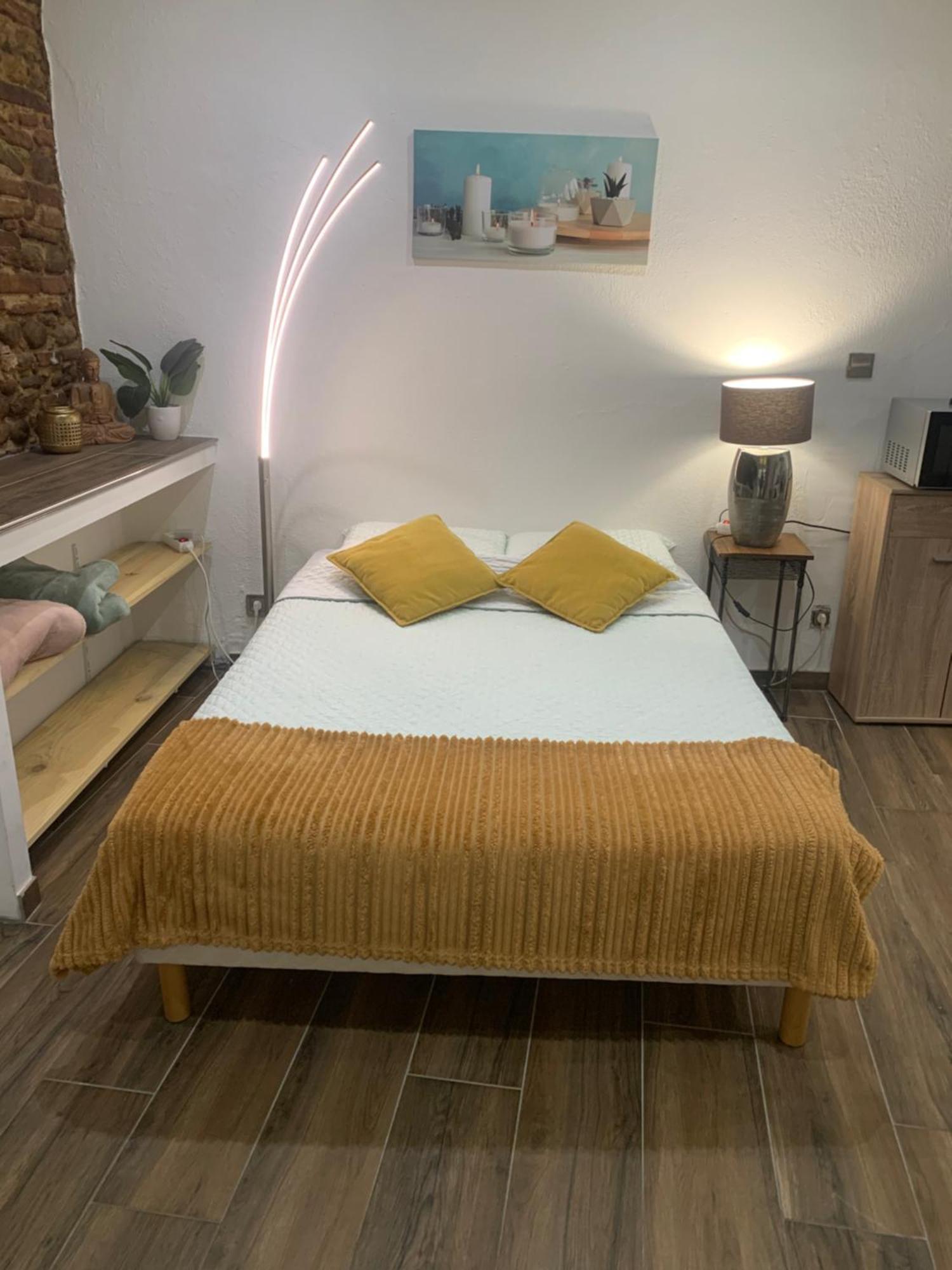 Studio 25M2 En Plein Coeur De Перпинян Екстериор снимка